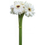 5 pcs white gerberas in bouquet