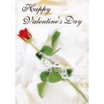 Valentine Card 2 Folder