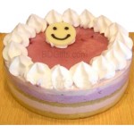 Blueberry round cake
