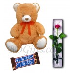 Bear with rose and chocolates