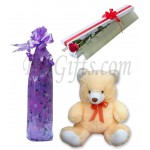 Message in a bottle with bear and rose