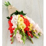 Mix gladiolus in bouquet