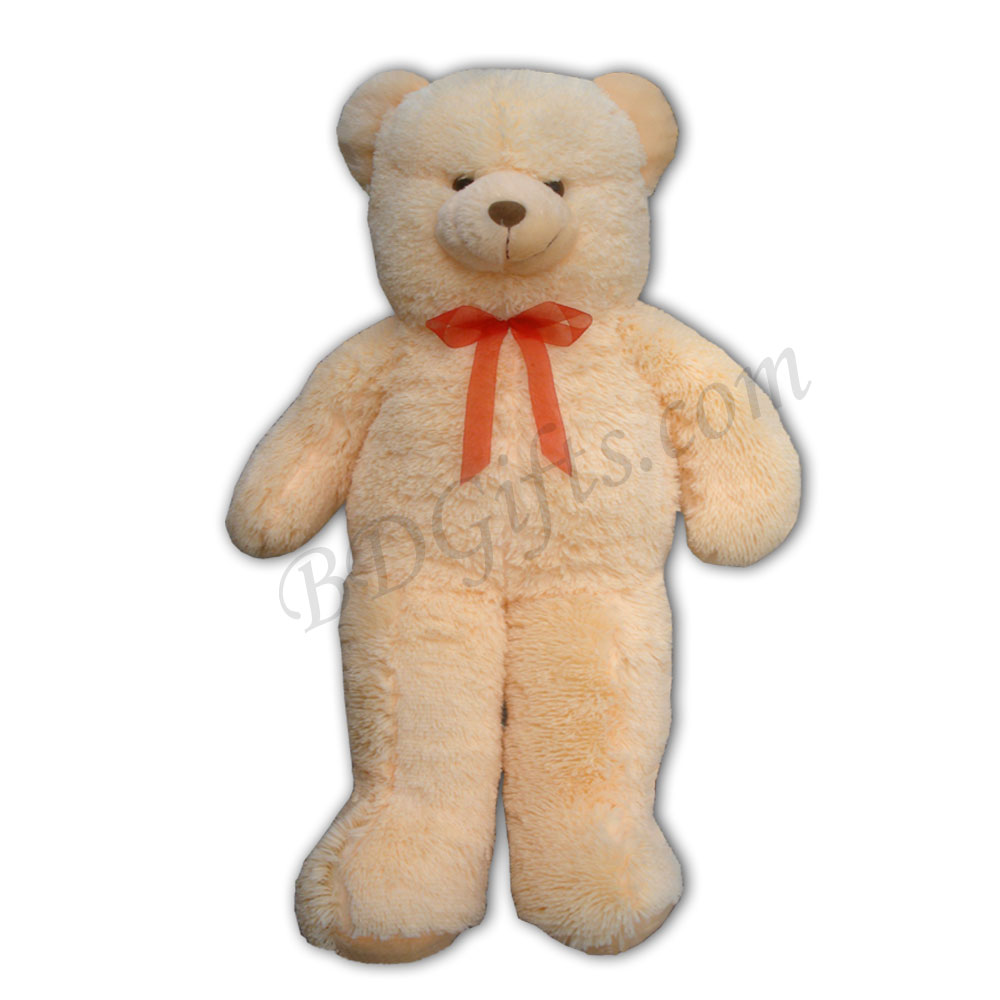 Cute teddy bear