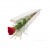 1pc red rose in a box  